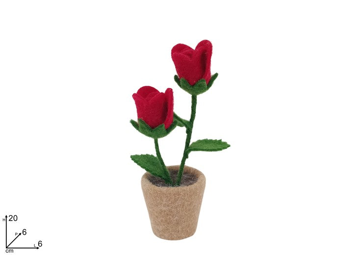 PIANTINA ROSE ROSSE