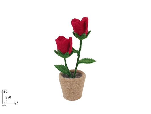 PIANTINA ROSE ROSSE